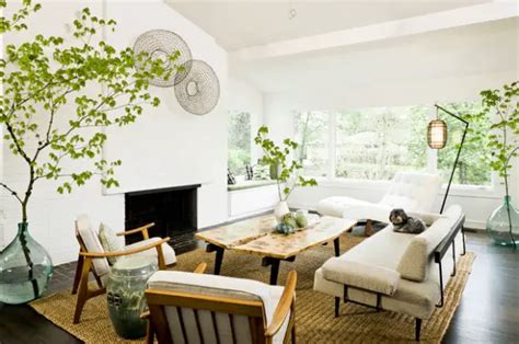 Bringing Nature Indoors: Integrating Organic Elements in Your Living Space