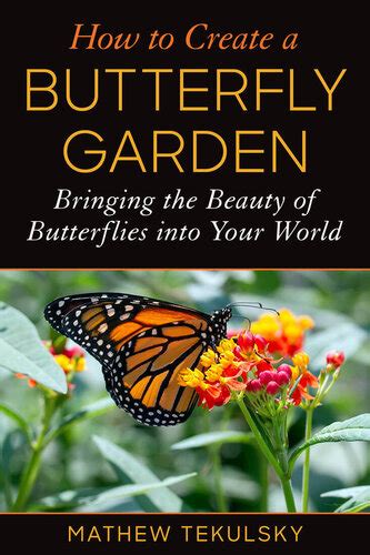 Bringing the Magic of Butterflies to Our Gardens