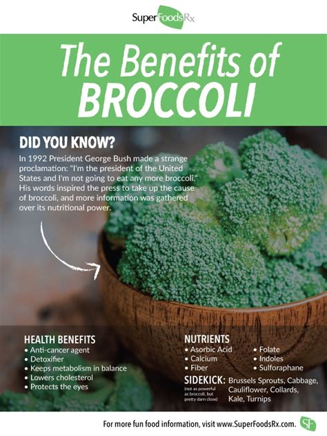 Broccoli: A Nutrient-Packed Superfood for All Ages