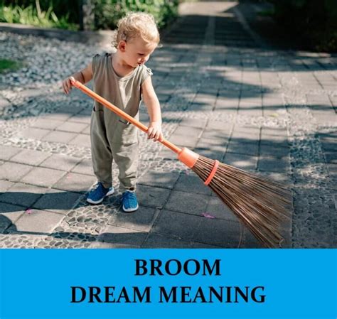 Broom Dreams and the Yearning for Transformation and Metamorphosis