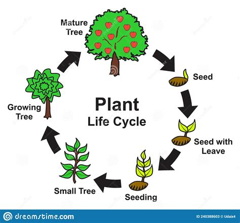 Brown Leaves and the Cycle of Life: Exploring the Circle of Nature