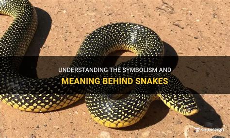 Brown Snake Symbolism: Understanding its Significance