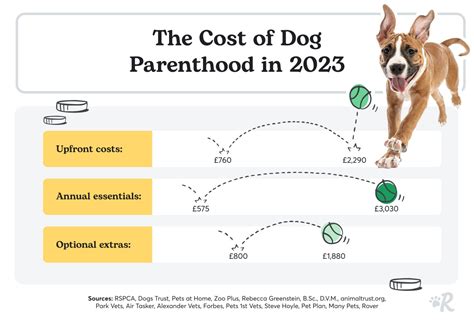 Budgeting for the Responsibilities of Owning a Dog