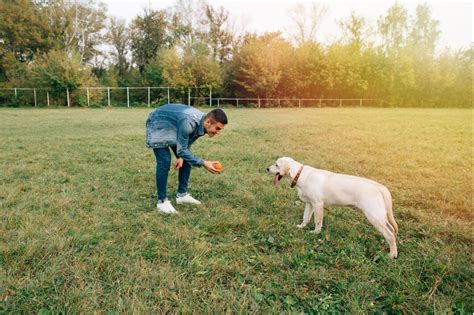 Building Emotional Connections: The Intimate Experience of Nurturing a Canine Companion