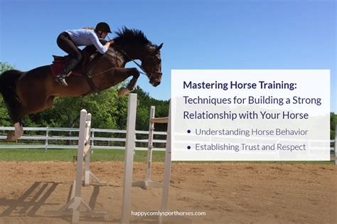 Building a Dynamic Connection: Training and Building a Strong Bond with Your Equine Partner