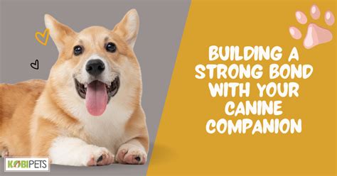 Building a Strong Bond with Your Canine Companion - Everlasting Love and Devotion