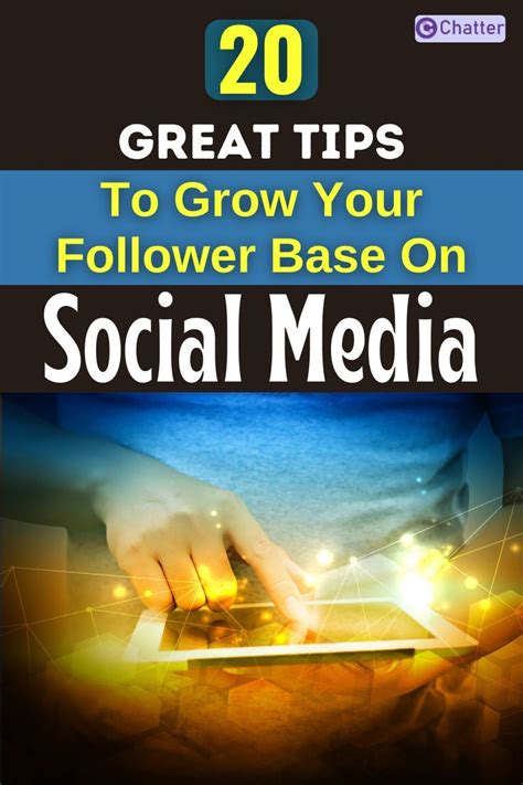 Caite's Social Media Influence and Follower Base