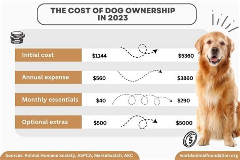 Calculate the Expenses Associated with Having a Canine Companion and Plan Your Finances Accordingly