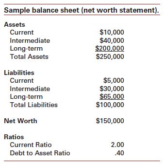 Calculating Alyssa Doll's Wealth and Assets