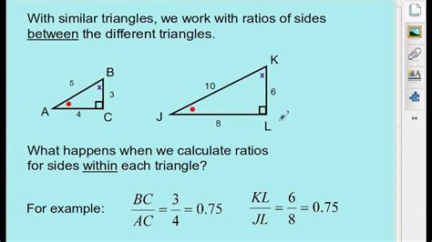 Calculating Phi Tran's Proportions