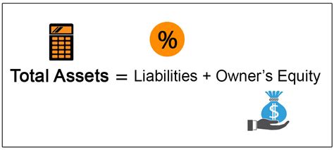 Calculating Sophia's Total Assets and Revenue