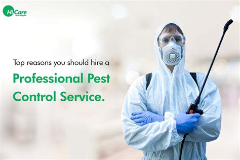 Calling in the Professionals: When to Hire a Professional Pest Control Service