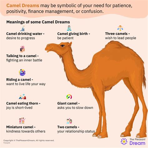 Camel Symbolism in Dreams