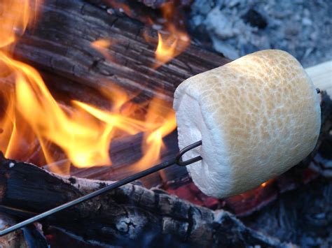 Campfire Cooking: Tips for Toasting Marshmallows