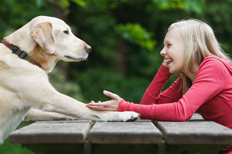 Can Dogs Actually Talk? Exploring the Science Behind Canine Communication