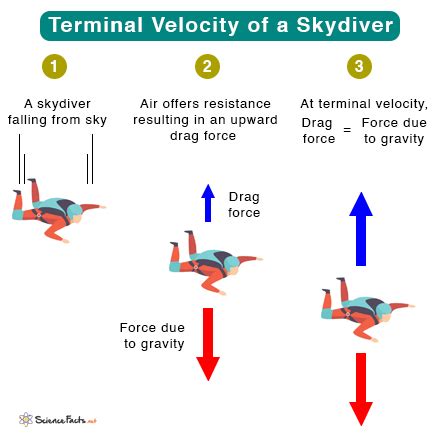 Can Humans Achieve Extraordinary Velocity? Analyzing the Boundaries of Human Capability