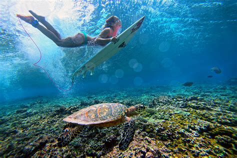 Captivating Beach Activities for Every Traveler