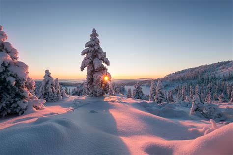 Capturing the Beauty: Photographing Snowfall for Breathtaking Winter Memories