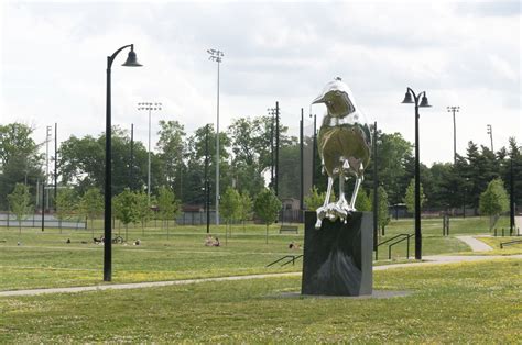 Career Accomplishments and Landmarks of Shelby Park