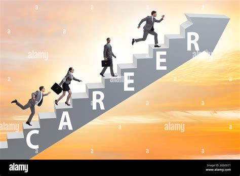 Career Journey: Climbing the Professional Ladder