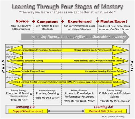 Career Journey: Transitioning from Novice to Professional