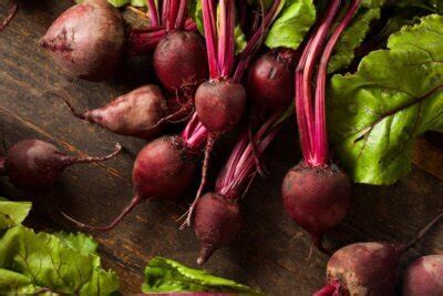 Caring for Your Beet Plants: Watering, Weeding, and Fertilizing Tips