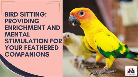 Caring for Your Feathered Companion: Nutrition and Physical Activity