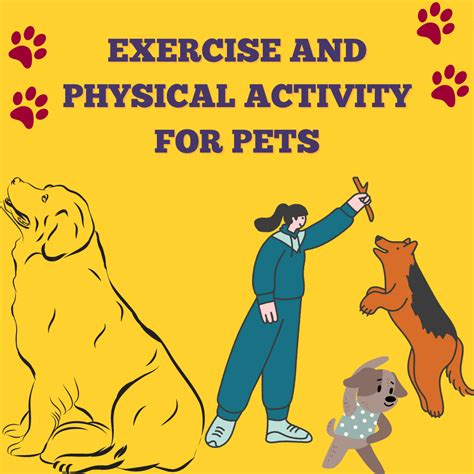 Caring for Your Furry Companion: Nourishment, Physical Activity, and Cognitive Engagement