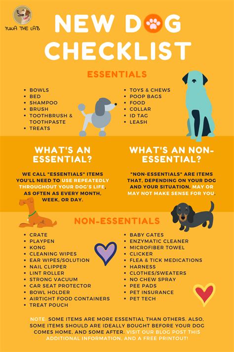 Caring for Your Puppy: Training, Nutrition, and Healthcare Essentials