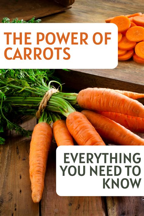 Carrots - A Fantastic Source of Vitamins and Minerals