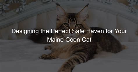 Cat-Safe Haven: Designing an Environment that Ensures Comfort and Safety for Your New Feline Friend