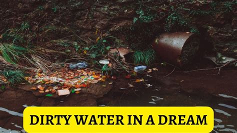 Causes and Interpretations of Dreaming about Dirty Water