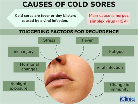 Causes and Risk Factors of Cold Sore Occurrence on the Mouth