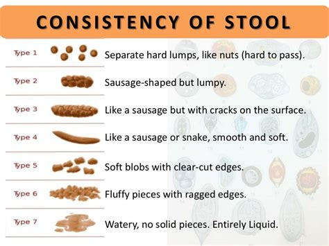 Causes of Loose Stool and Their Impact on the Body