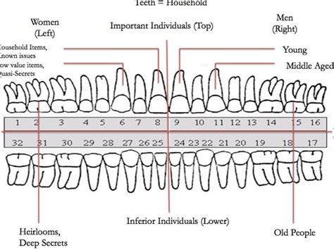 Causes of Tooth Distortion in Dreams: Unveiling the Origins and Triggers