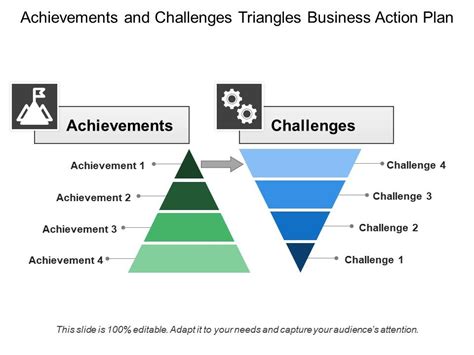 Challenges and Achievements in the Industry