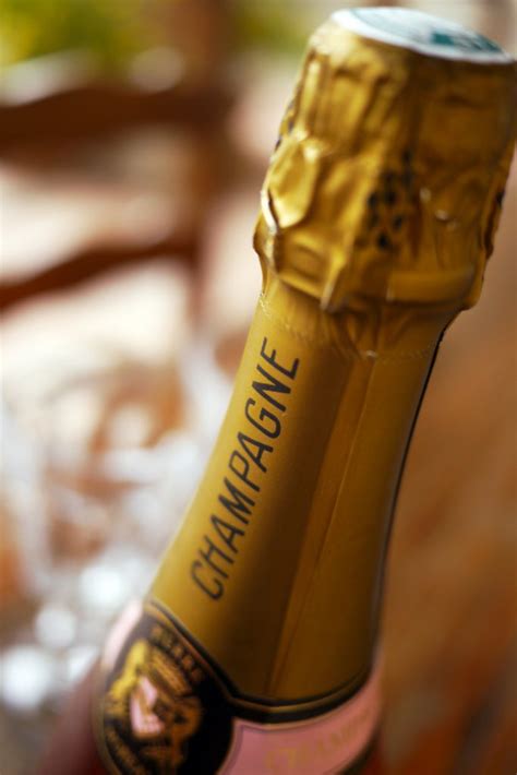 Champagne 101: Exploring the Diverse Styles and Flavors