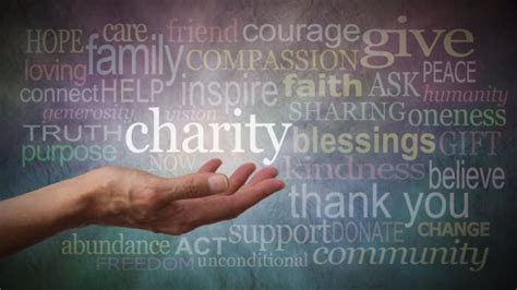 Charitable Efforts and Altruistic Pursuits