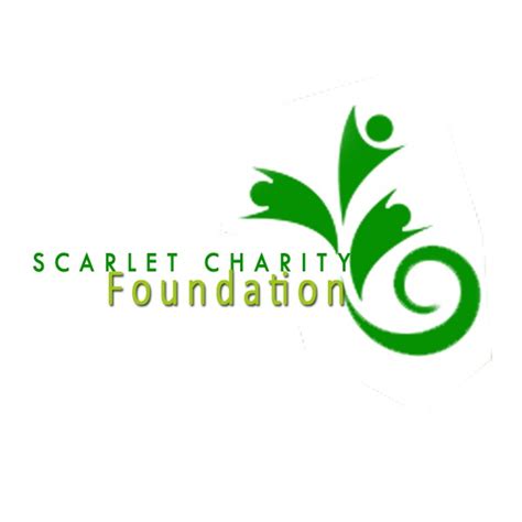 Charity Work and Philanthropy of Scarlet Contemptress