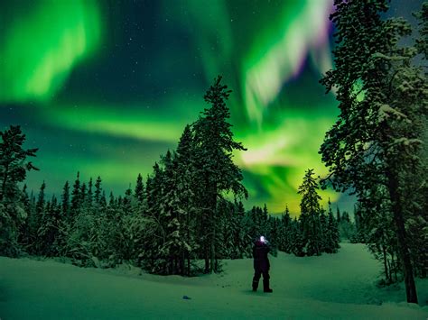 Chasing the Northern Lights: Awe-Inspiring Skies and Celestial Magnificence