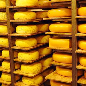 Cheese Aging: Discovering the Enigma of Flavor Development