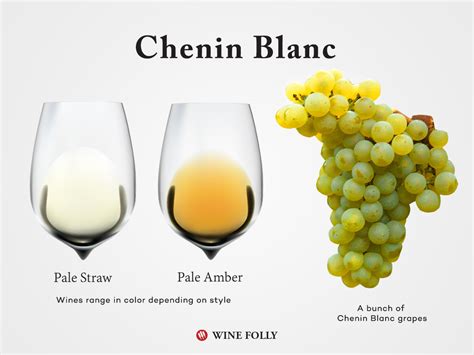 Chenin Blanc's Height: Myth or Reality?