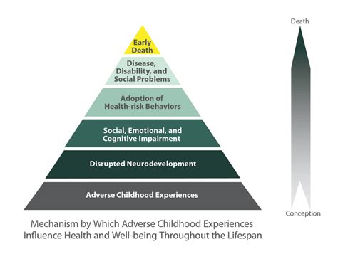 Childhood influences and experiences