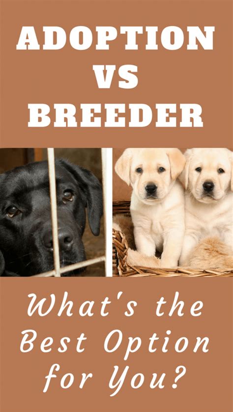 Choosing a Trustworthy Breeder or Shelter