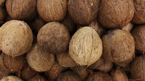 Choosing the Appropriate Coconut Variety Based on Your Climate