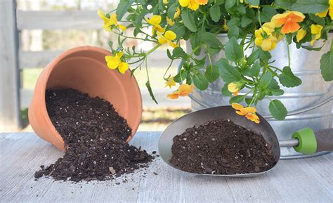 Choosing the Appropriate Soil for Your Garden