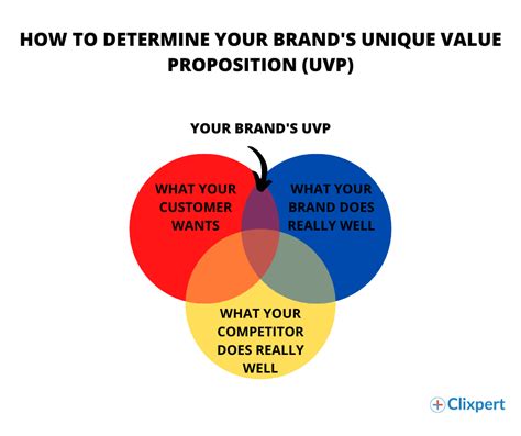 Choosing the Brand that Offers the Best Value for Your Money