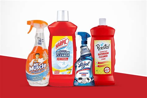 Choosing the Ideal Cleaning Products for Your Toilet