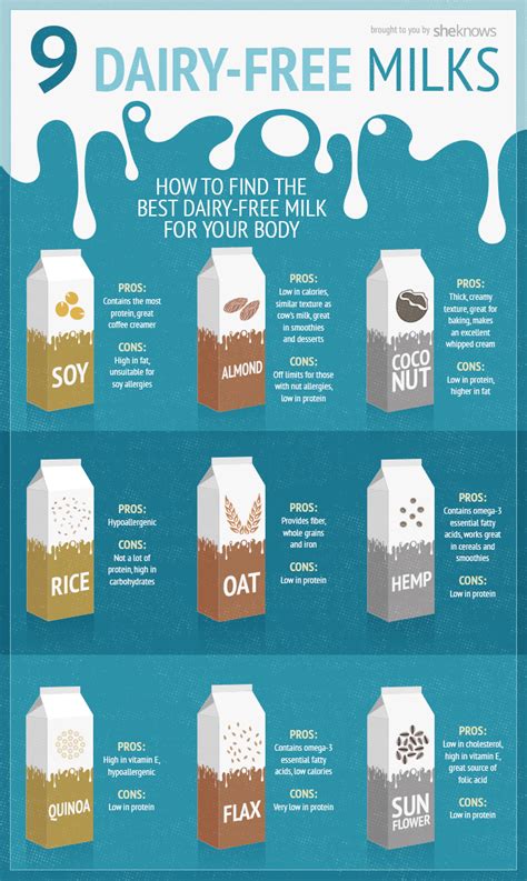 Choosing the Ideal Milk or Dairy Alternative