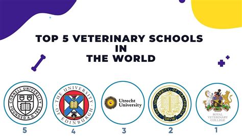 Choosing the Ideal Veterinary School